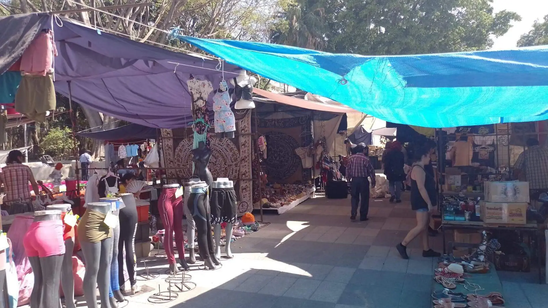 Tianguis Cultural-3